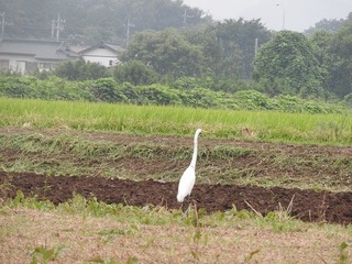 19.9.4.3.jpg