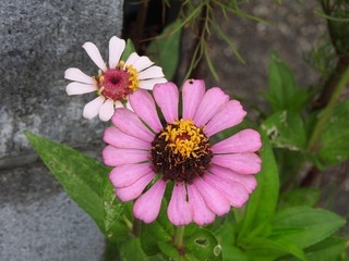 19.9.5.2.jpg