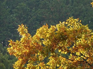 20.1.10.2.jpg