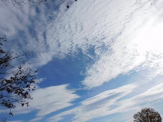 20.1.13.1.jpg