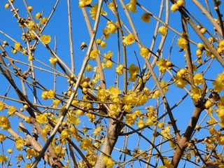 20.1.15.3.jpg