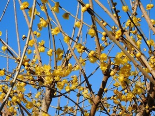 20.1.21.1.jpg
