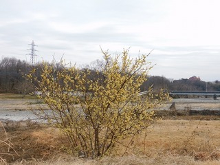 20.1.27.1.jpg
