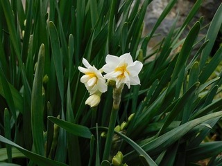 20.1.28.2.jpg