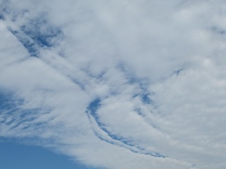 20.1.31.1.jpg