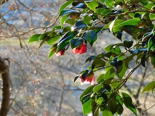 20.1.4.2.jpg