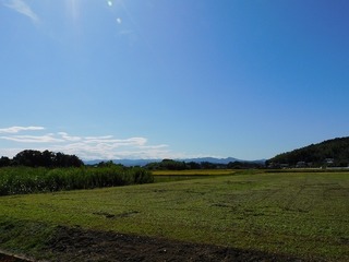 20.10.4.1.jpg