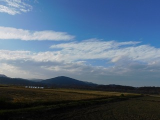 20.12.2.jpg