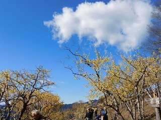 20.2.10.1.jpg