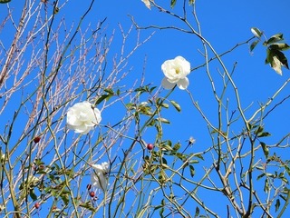 20.2.10.2.jpg
