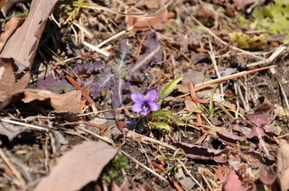 20.2.12.3.jpg