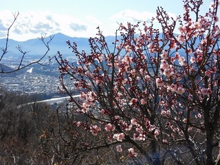 20.2.14.2.jpg