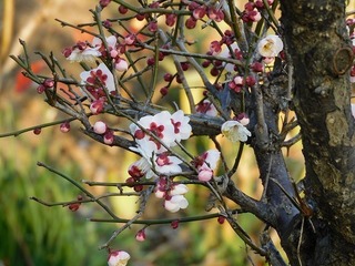 20.2.15.1.jpg