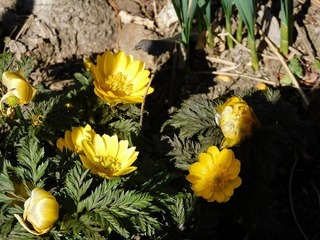 20.2.18.3.jpg