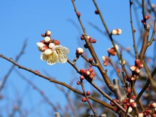 20.2.18.3.jpg