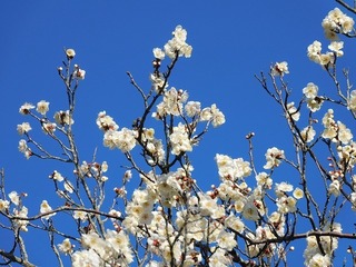 20.2.22.1.jpg