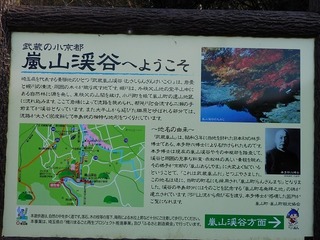 20.2.23.3.jpg