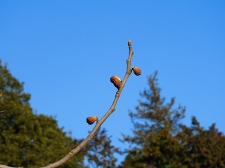 20.2.26.1.jpg