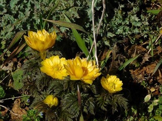 20.2.26.3.jpg