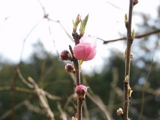 20.2.27.2.jpg