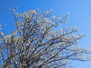 20.2.28.1.jpg