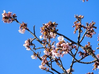 20.2.28.2.jpg
