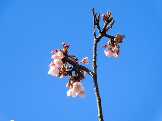 20.2.29.1.jpg