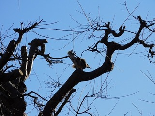 20.2.5.1.jpg