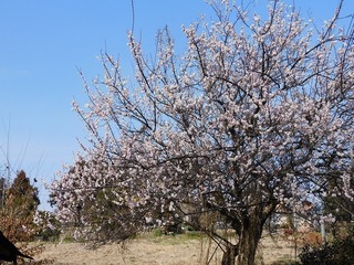 20.3.10.1.jpg