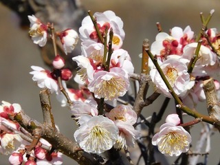 20.3.10.3.jpg