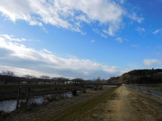 20.3.11.jpg