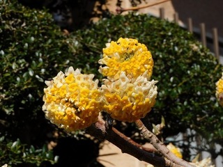 20.3.17.2.jpg