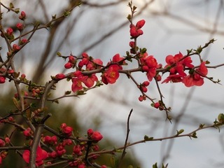 20.3.19.jpg