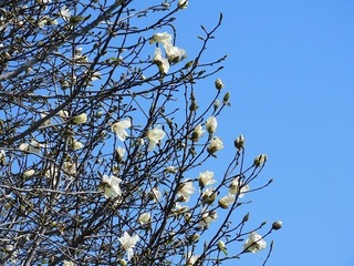 20.3.21.jpg