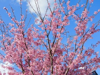 20.3.25.1.jpg