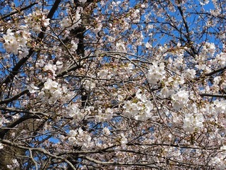 20.3.25.2.jpg
