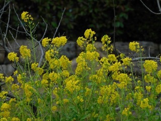 20.3.25.3.jpg