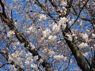 20.3.26.1.jpg
