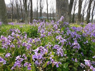 20.3.26.2.jpg