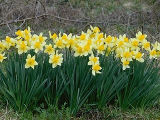 20.3.26.3.jpg