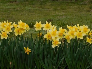 20.3.28.3.jpg