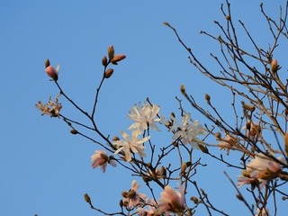 20.3.29.1.jpg