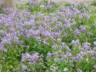 20.3.29.2.jpg