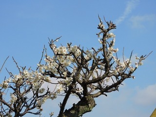 20.3.4.1.jpg