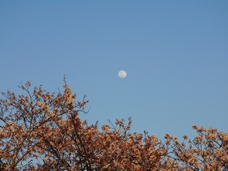 20.4.13.1.jpg
