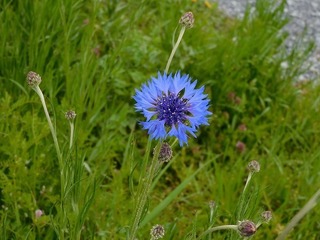 20.4.13.2.jpg