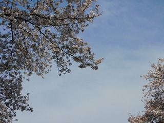 20.4.14.1.jpg