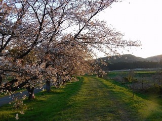 20.4.15.1.jpg