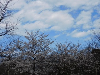 20.4.15.1.jpg