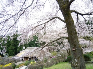 20.4.15.2.jpg